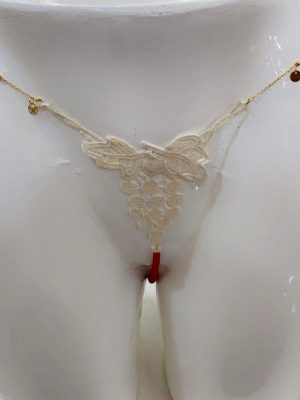 lingerie transparent